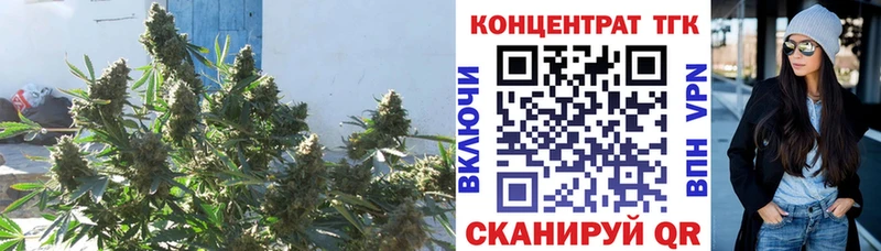 Купить  Барыш  ТГК концентрат 