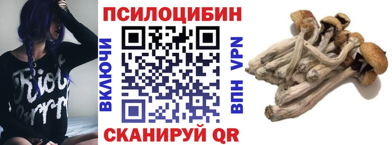 Галлюциногенные грибы Cubensis  Купить где  Барыш 